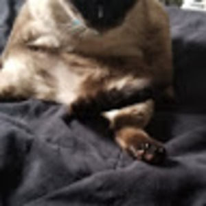 Meet your Posher, nien